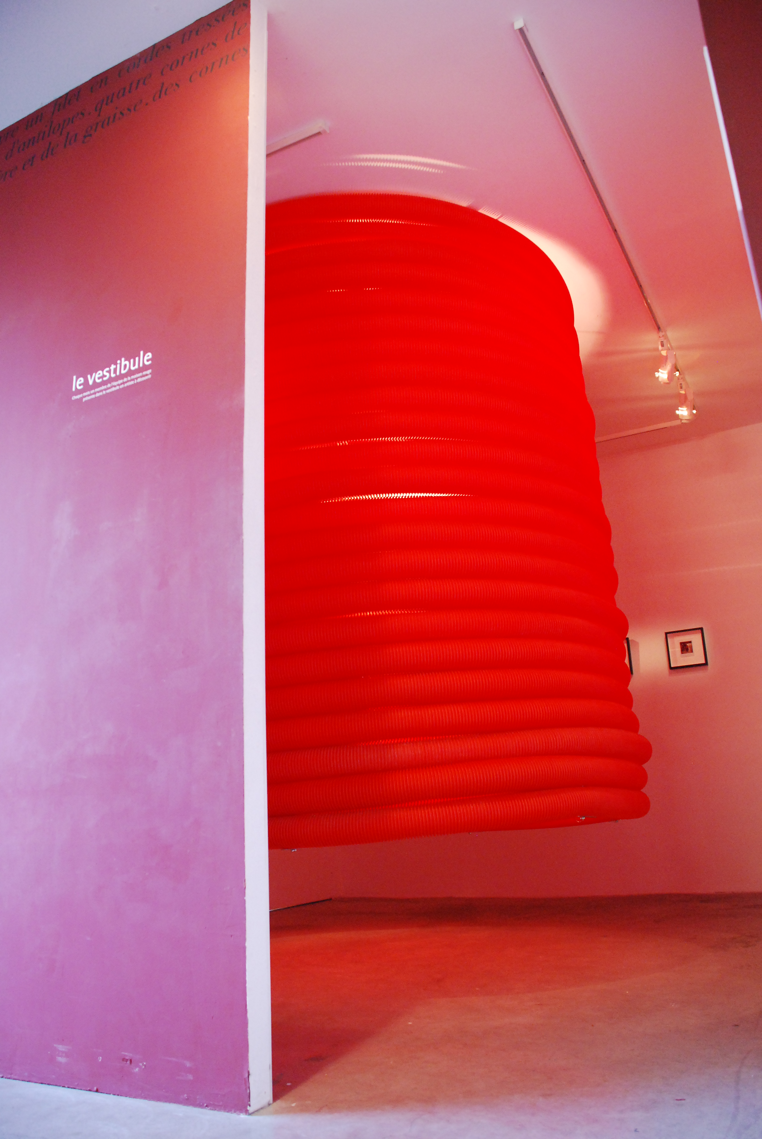 Vue de l'exposition Arno Piroud © Marc Domage / la maison rouge 2009